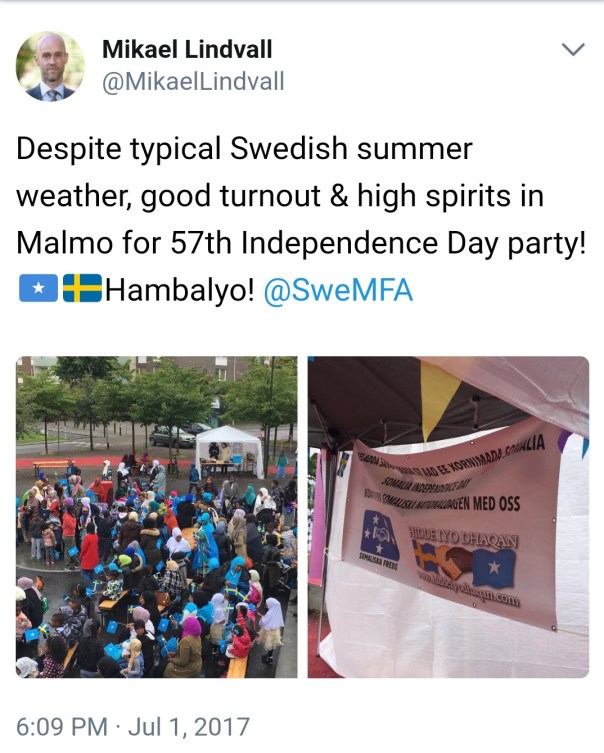 Mikael Lindvall ambassadör